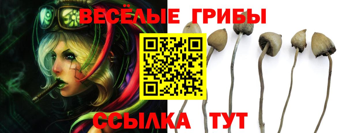 Галлюциногенные грибы мухоморы Искитим